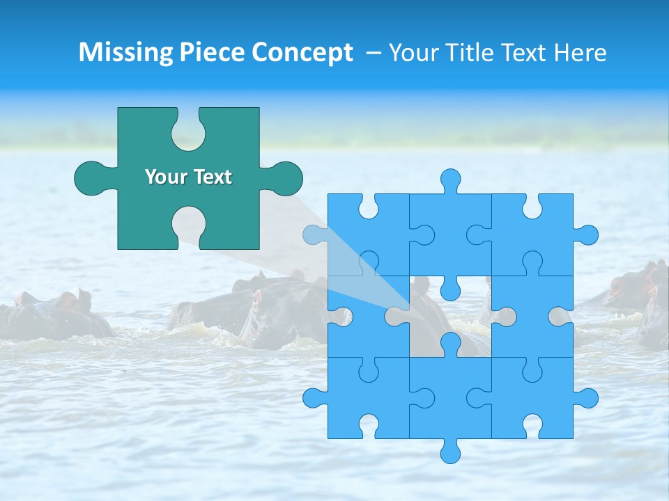 Continent Alertness Hippopotamus PowerPoint Template