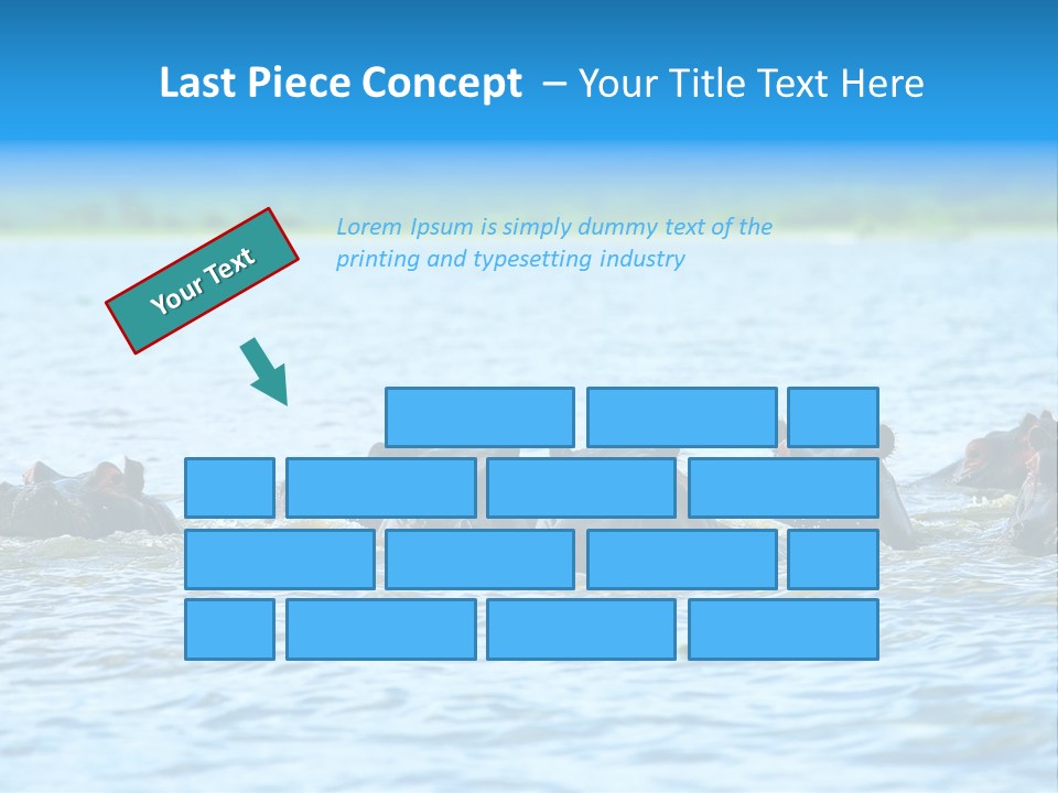 Continent Alertness Hippopotamus PowerPoint Template