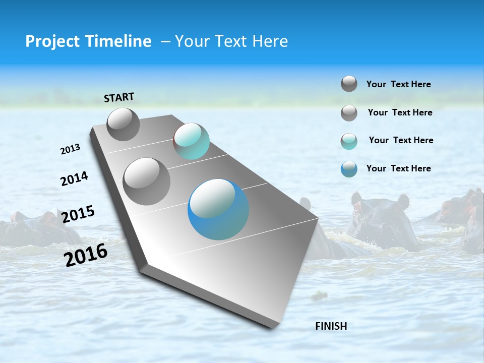 Continent Alertness Hippopotamus PowerPoint Template