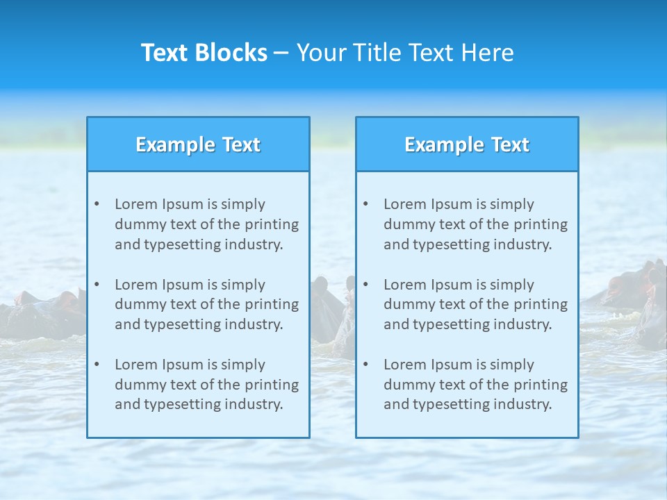 Continent Alertness Hippopotamus PowerPoint Template