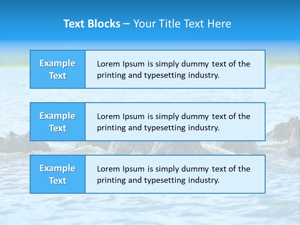 Continent Alertness Hippopotamus PowerPoint Template