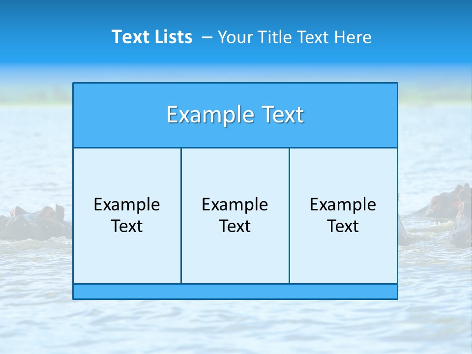 Continent Alertness Hippopotamus PowerPoint Template
