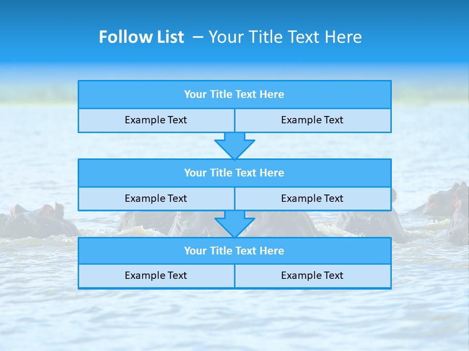 Continent Alertness Hippopotamus PowerPoint Template