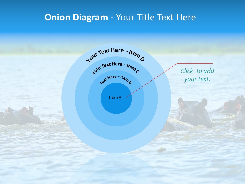 Continent Alertness Hippopotamus PowerPoint Template