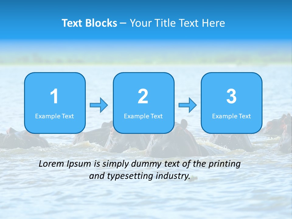 Continent Alertness Hippopotamus PowerPoint Template