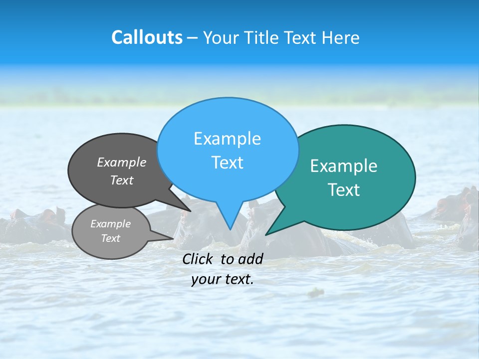 Continent Alertness Hippopotamus PowerPoint Template