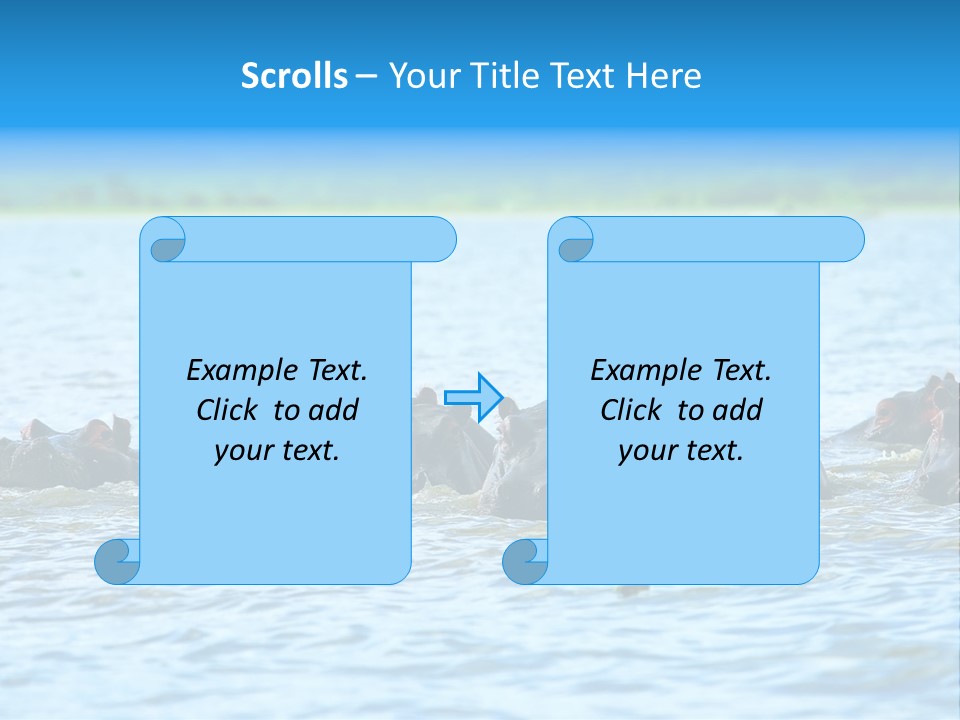 Continent Alertness Hippopotamus PowerPoint Template