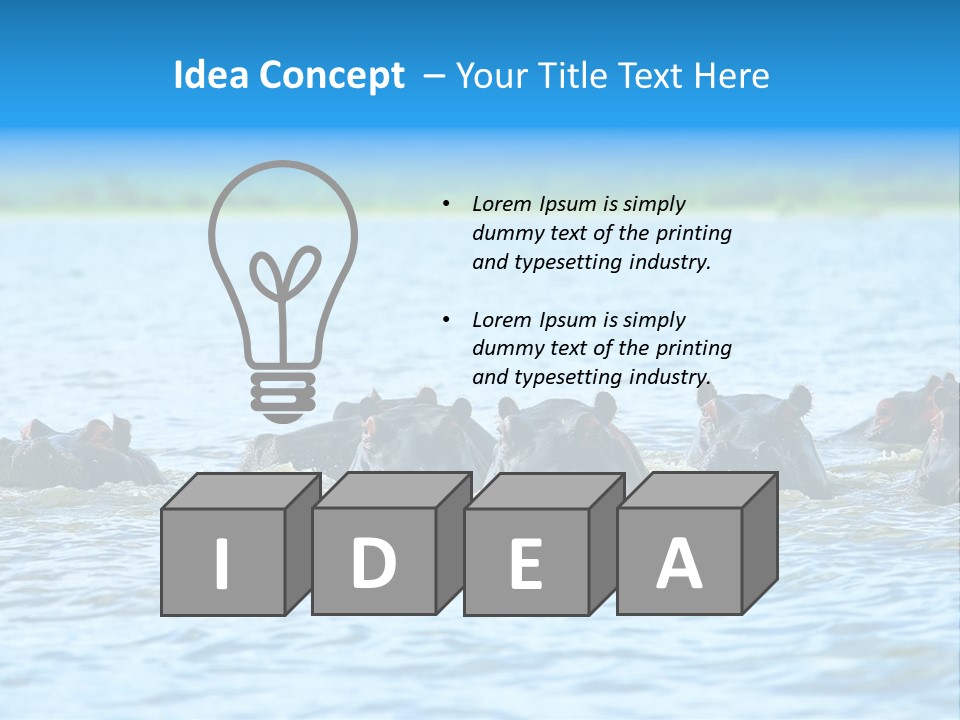 Continent Alertness Hippopotamus PowerPoint Template