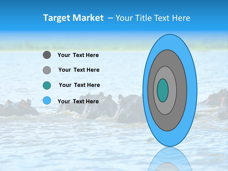 Continent Alertness Hippopotamus PowerPoint Template