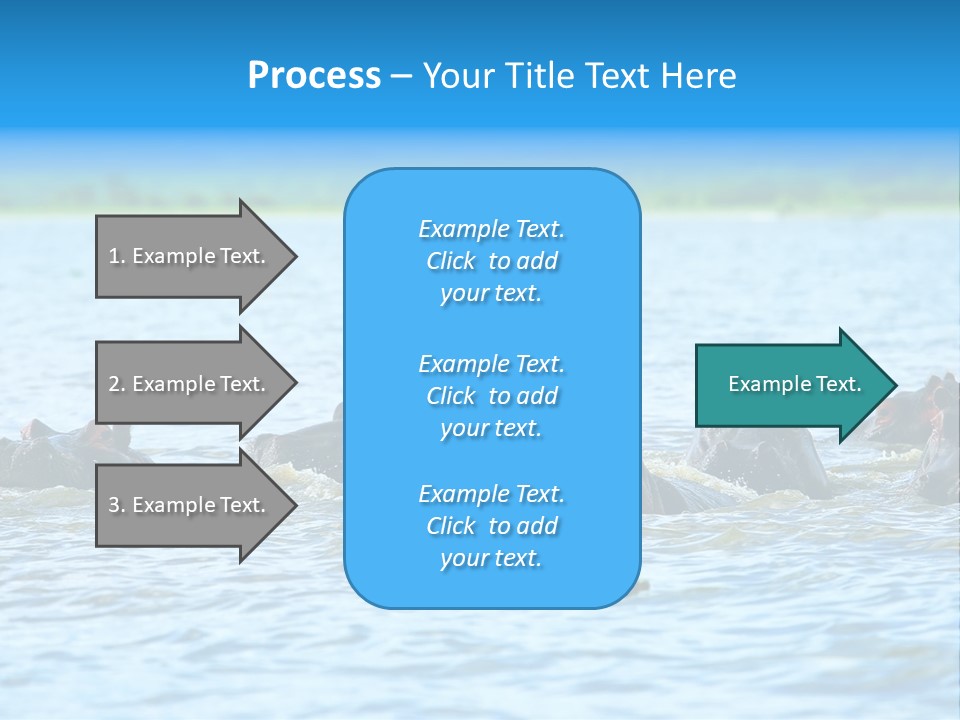 Continent Alertness Hippopotamus PowerPoint Template