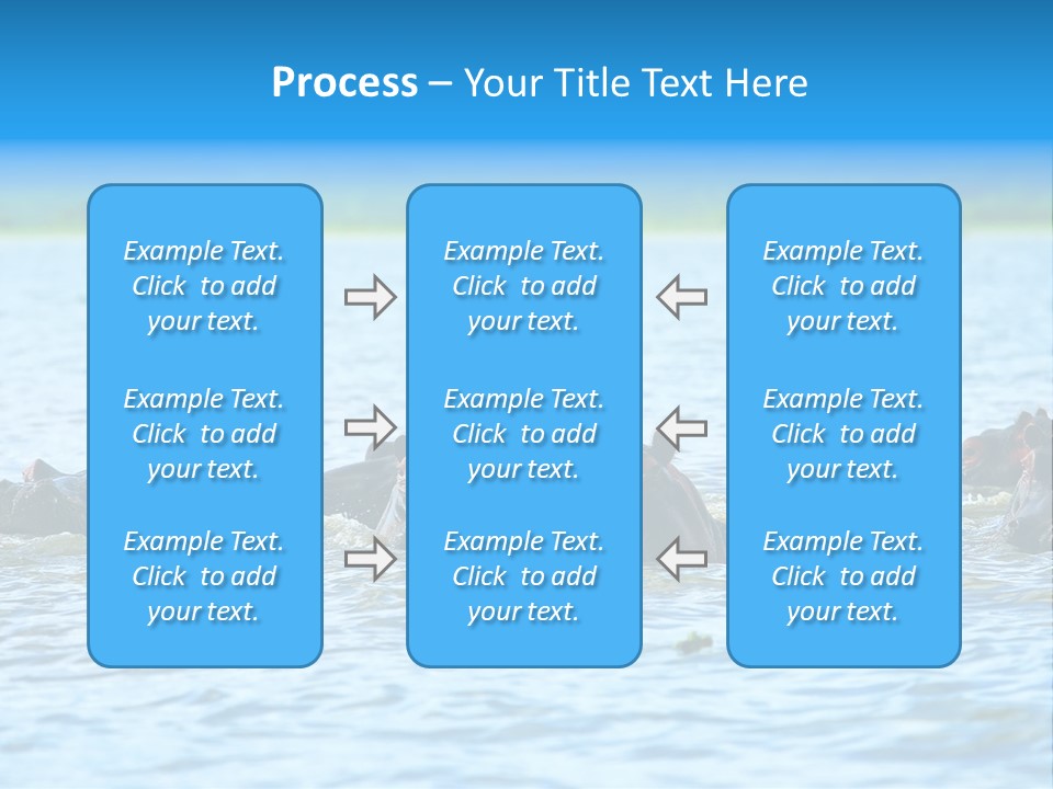 Continent Alertness Hippopotamus PowerPoint Template