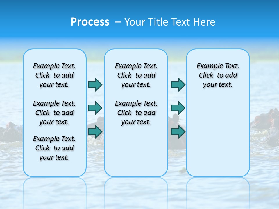 Continent Alertness Hippopotamus PowerPoint Template