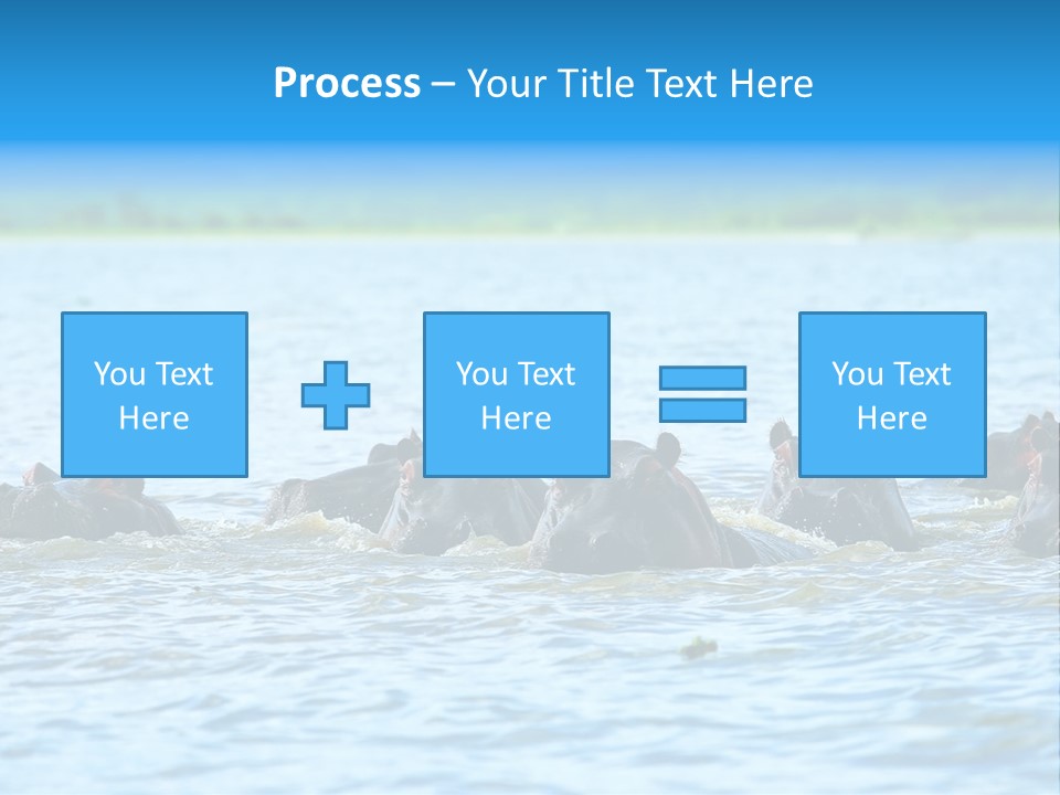 Continent Alertness Hippopotamus PowerPoint Template