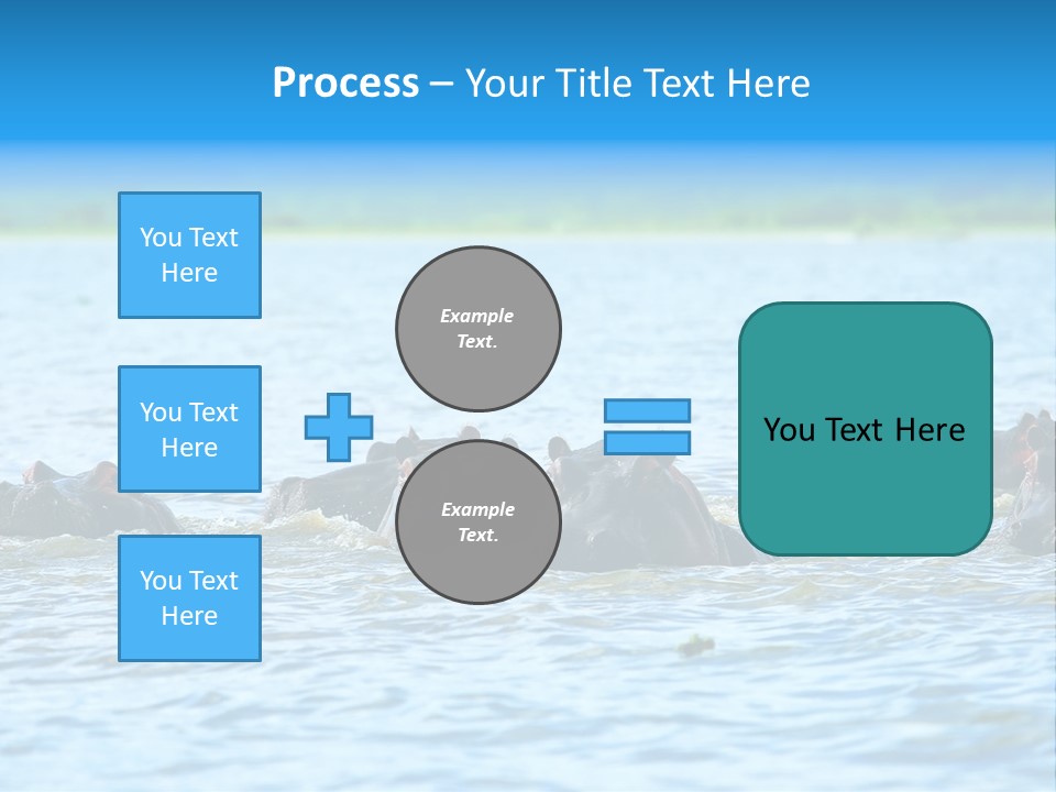 Continent Alertness Hippopotamus PowerPoint Template