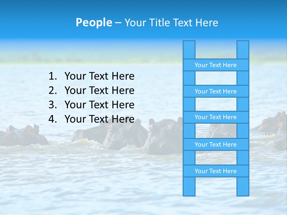 Continent Alertness Hippopotamus PowerPoint Template