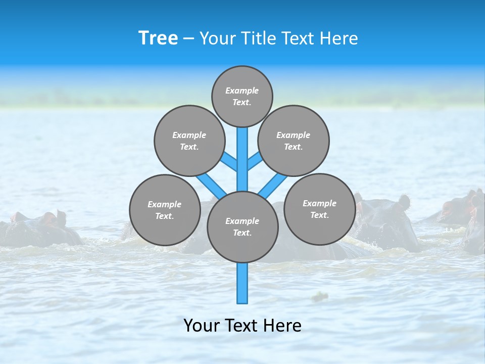 Continent Alertness Hippopotamus PowerPoint Template