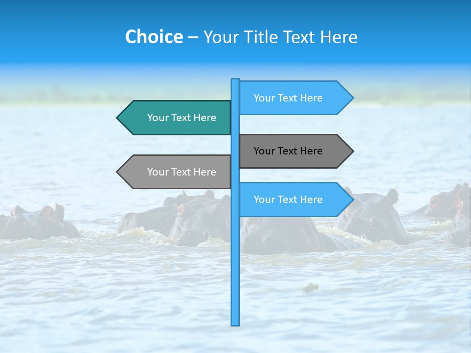 Continent Alertness Hippopotamus PowerPoint Template