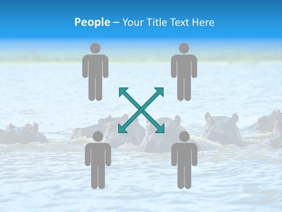 Continent Alertness Hippopotamus PowerPoint Template