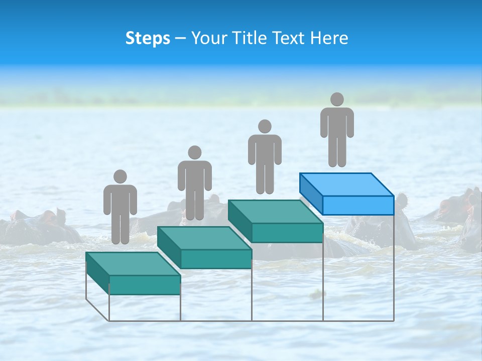 Continent Alertness Hippopotamus PowerPoint Template