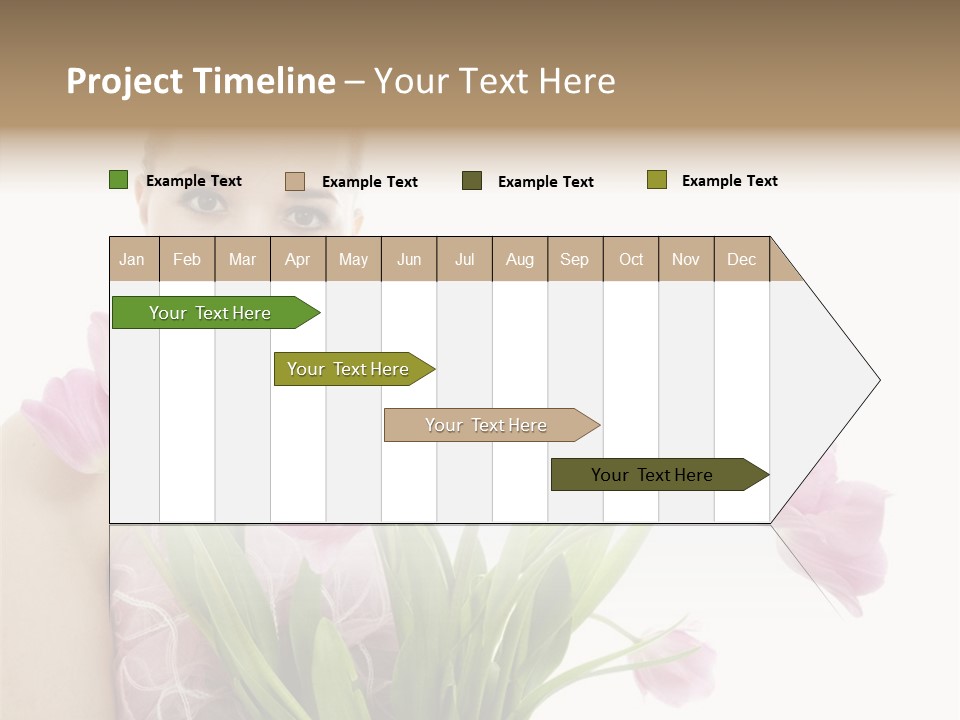 Fashion Isolated Hair PowerPoint Template