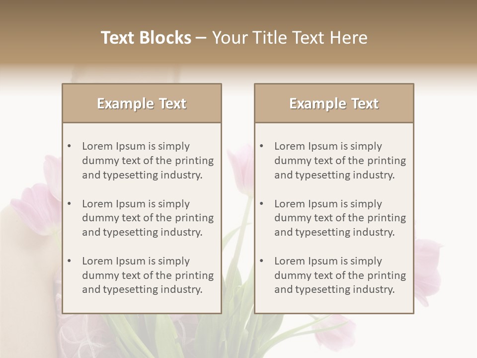 Fashion Isolated Hair PowerPoint Template
