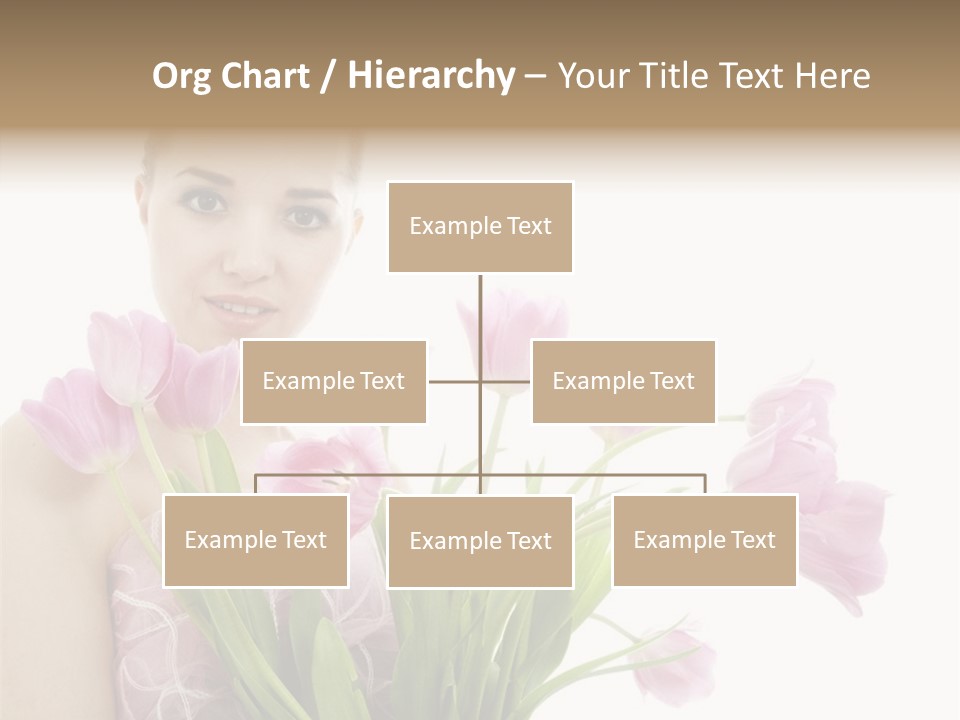 Fashion Isolated Hair PowerPoint Template