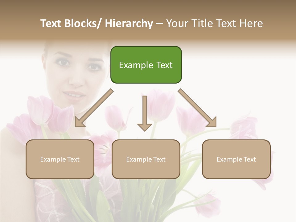 Fashion Isolated Hair PowerPoint Template