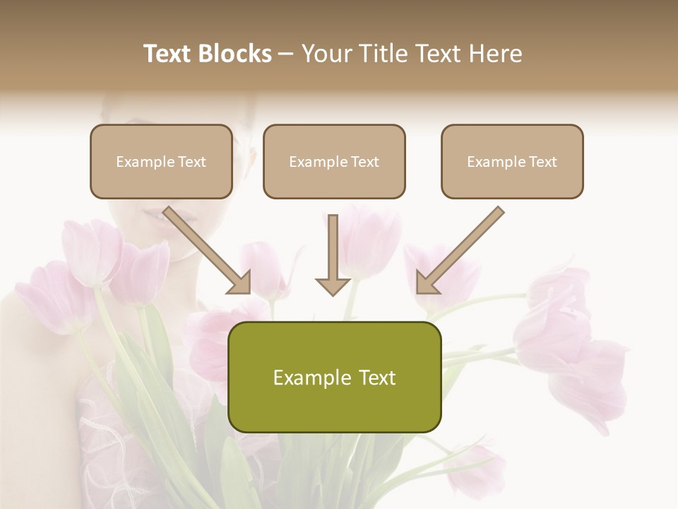 Fashion Isolated Hair PowerPoint Template