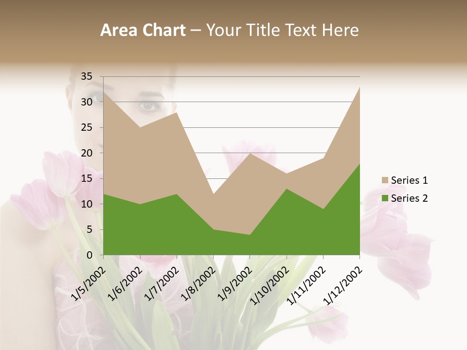 Fashion Isolated Hair PowerPoint Template