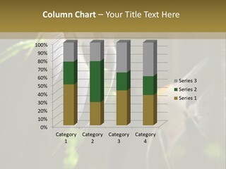 Environment Relax Heater PowerPoint Template