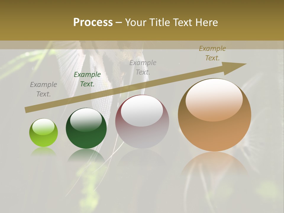 Environment Relax Heater PowerPoint Template