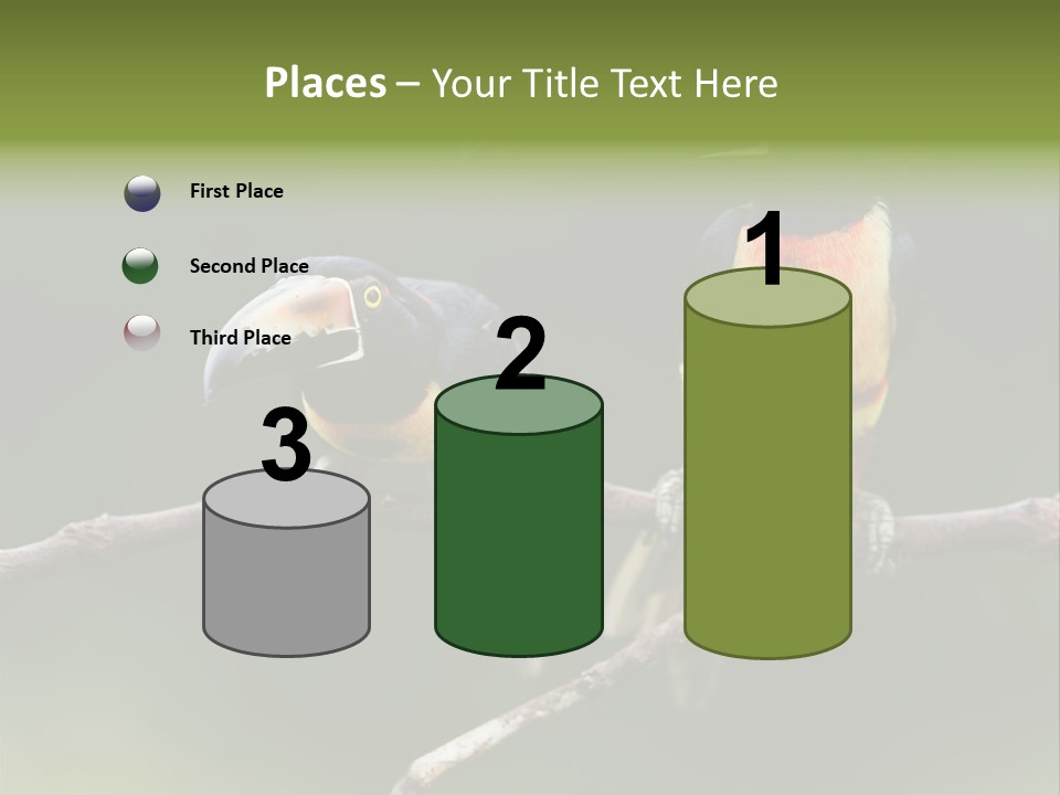 A Couple Of Birds Sitting On Top Of A Tree Branch PowerPoint Template