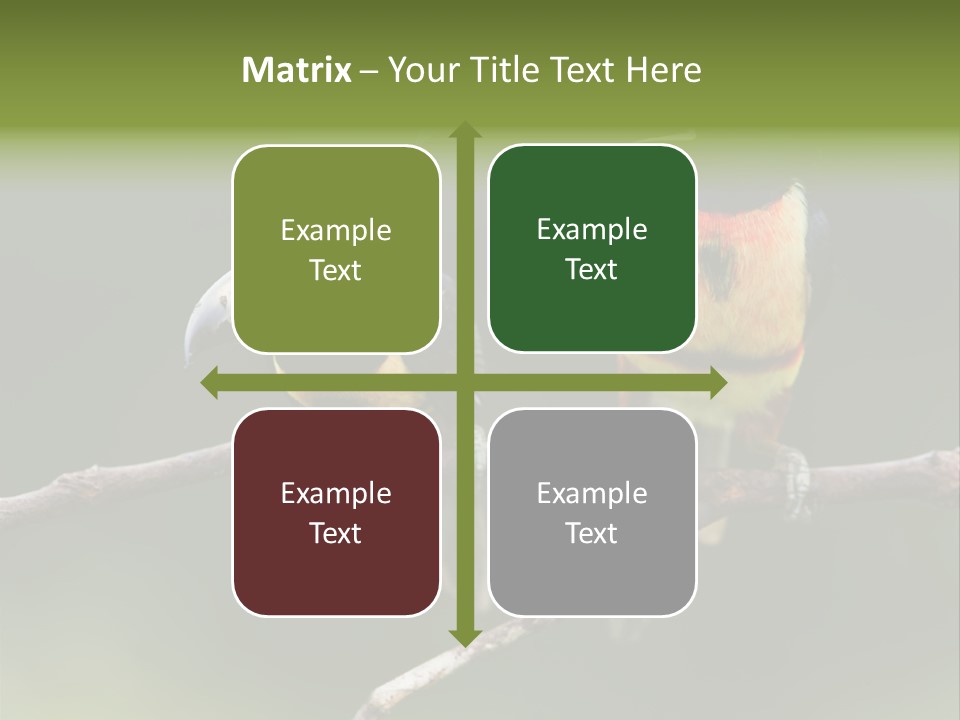 A Couple Of Birds Sitting On Top Of A Tree Branch PowerPoint Template