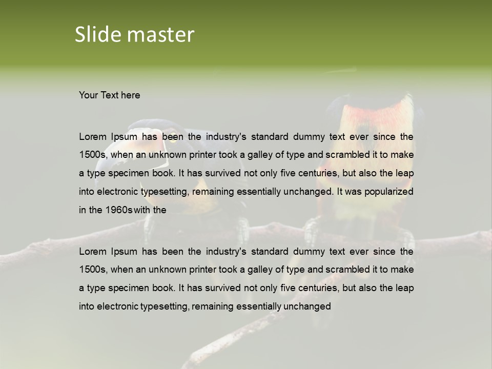 A Couple Of Birds Sitting On Top Of A Tree Branch PowerPoint Template