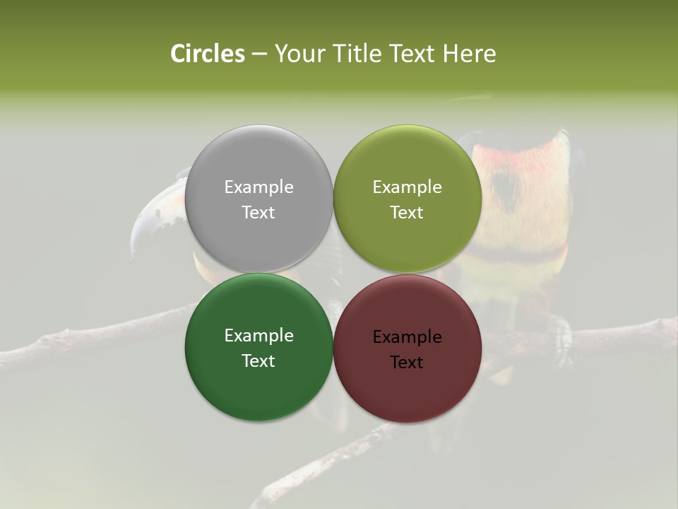 A Couple Of Birds Sitting On Top Of A Tree Branch PowerPoint Template