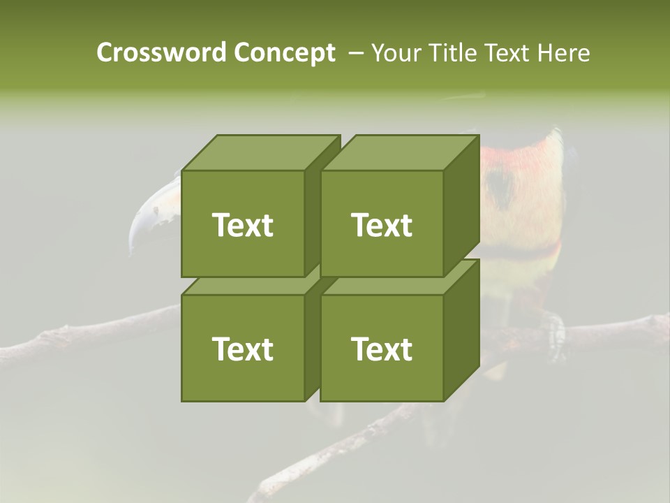 A Couple Of Birds Sitting On Top Of A Tree Branch PowerPoint Template