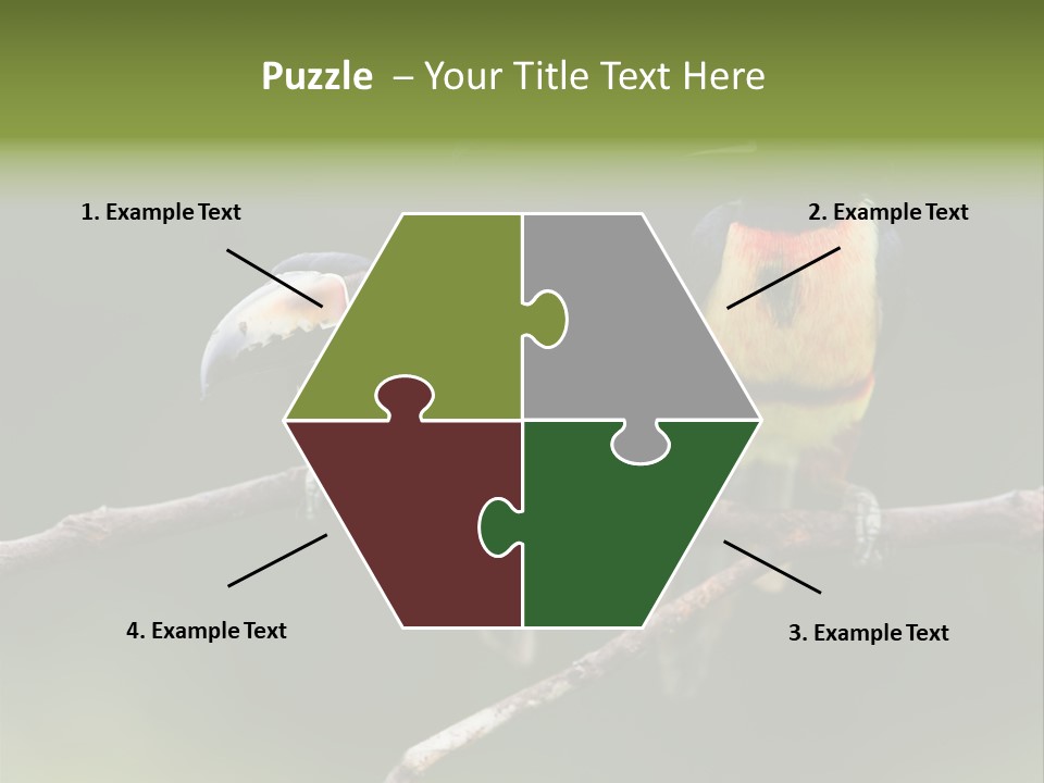 A Couple Of Birds Sitting On Top Of A Tree Branch PowerPoint Template