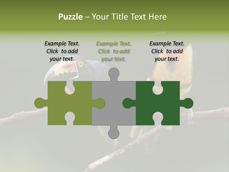 A Couple Of Birds Sitting On Top Of A Tree Branch PowerPoint Template