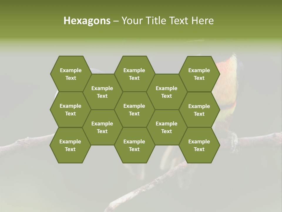 A Couple Of Birds Sitting On Top Of A Tree Branch PowerPoint Template