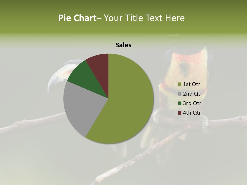 A Couple Of Birds Sitting On Top Of A Tree Branch PowerPoint Template