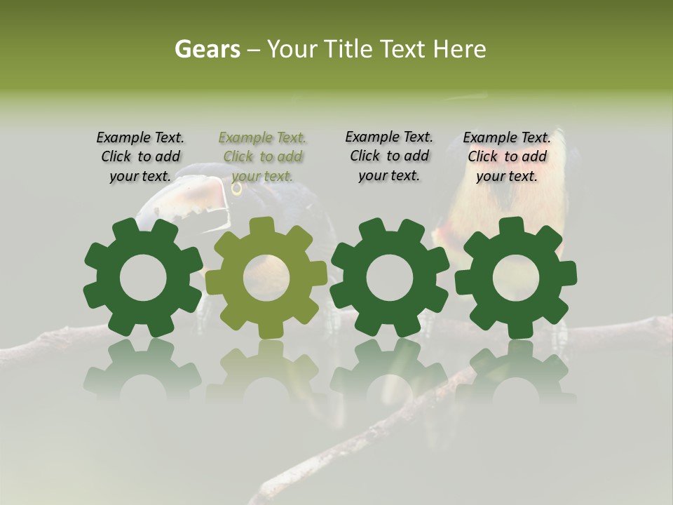 A Couple Of Birds Sitting On Top Of A Tree Branch PowerPoint Template