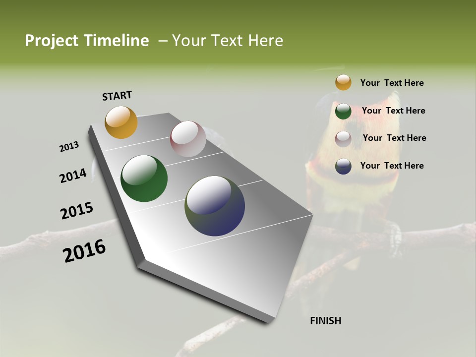A Couple Of Birds Sitting On Top Of A Tree Branch PowerPoint Template