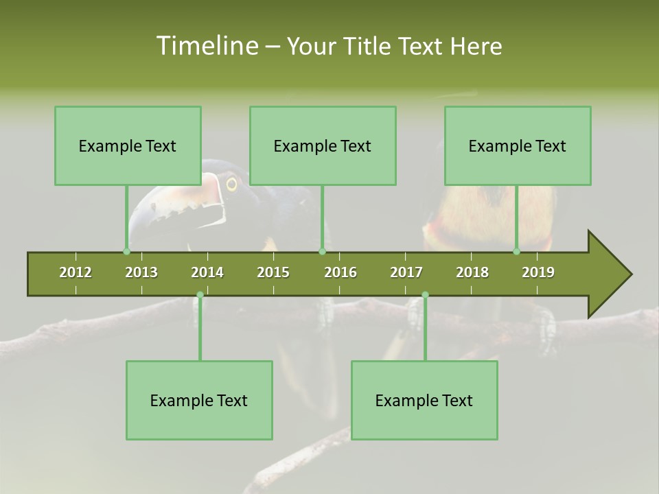 A Couple Of Birds Sitting On Top Of A Tree Branch PowerPoint Template