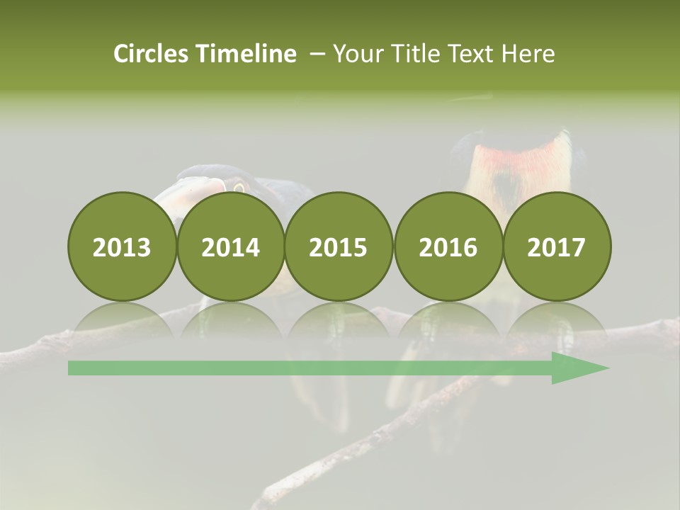 A Couple Of Birds Sitting On Top Of A Tree Branch PowerPoint Template