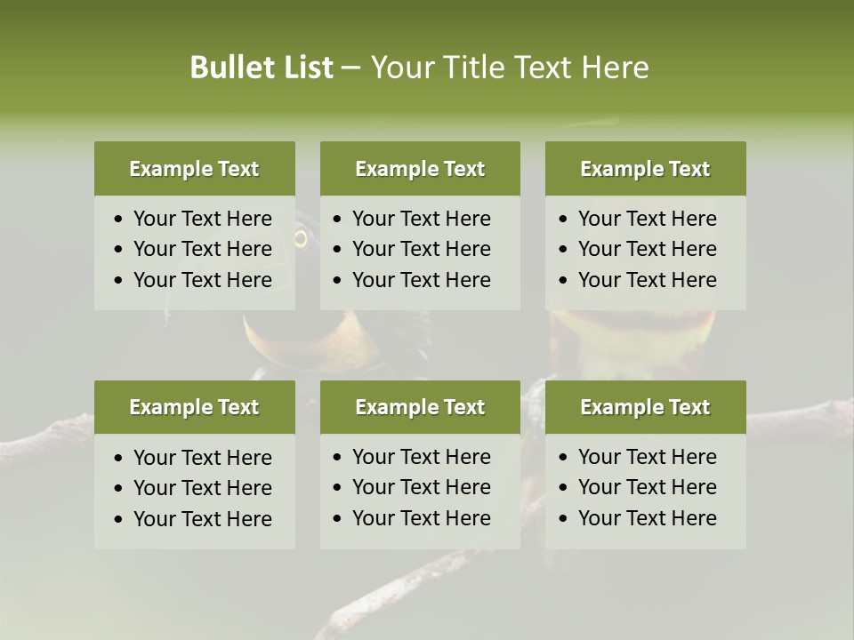 A Couple Of Birds Sitting On Top Of A Tree Branch PowerPoint Template