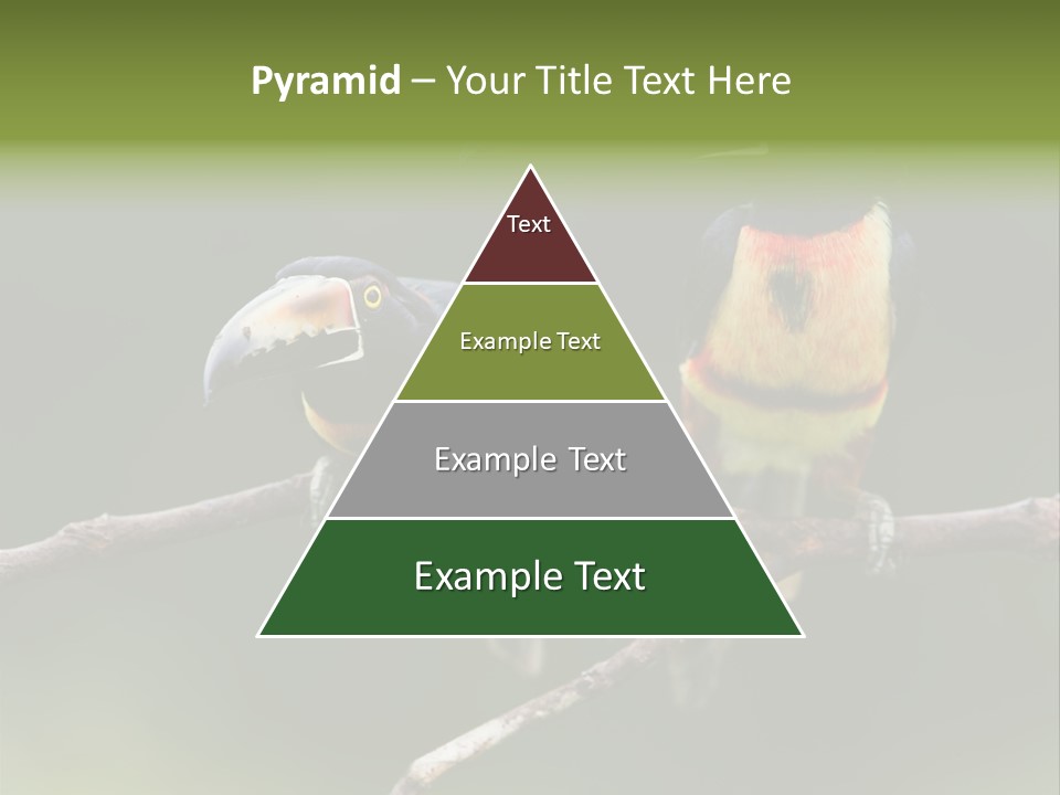 A Couple Of Birds Sitting On Top Of A Tree Branch PowerPoint Template
