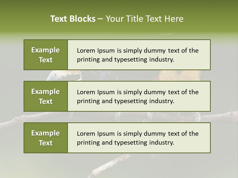 A Couple Of Birds Sitting On Top Of A Tree Branch PowerPoint Template