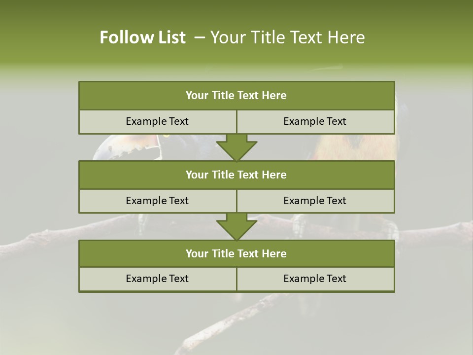A Couple Of Birds Sitting On Top Of A Tree Branch PowerPoint Template