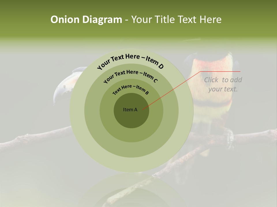 A Couple Of Birds Sitting On Top Of A Tree Branch PowerPoint Template