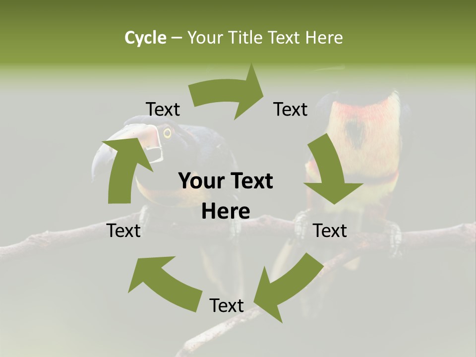 A Couple Of Birds Sitting On Top Of A Tree Branch PowerPoint Template